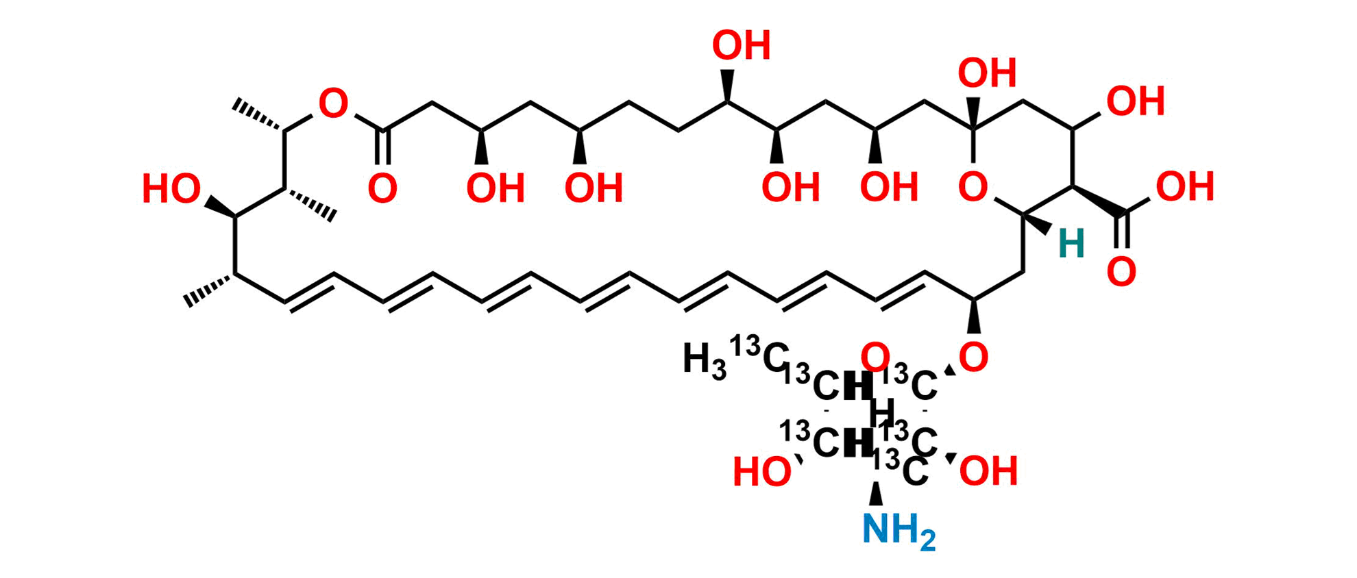Amphotericin B-13C6